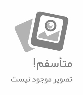 دفترچه یادداشت روباه کوهستانی